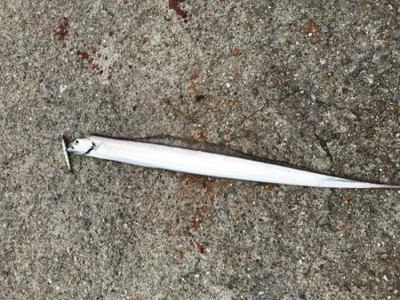 ベルトサイズばっかり