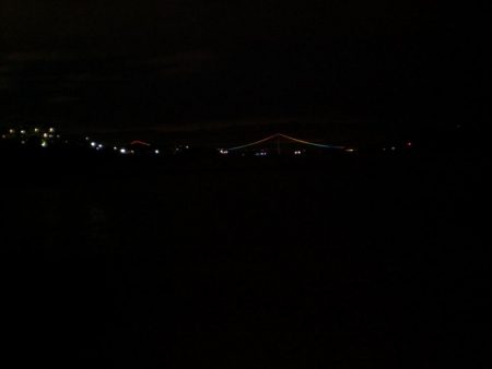 久しぶりのタコ