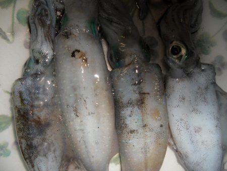 天気心配したけど、まあまあできた。