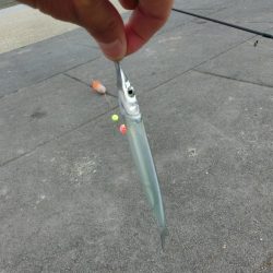 エンピツサヨリが掛かってます