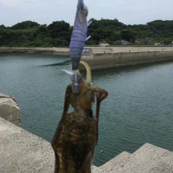 台風一過で……