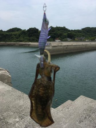 台風一過で……