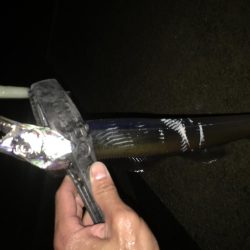 渋いながらも３本