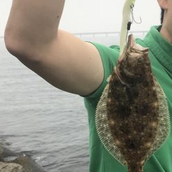 タチウオはどこへ(°_°)