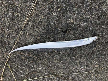 水軒 メタルジグ