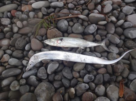 前回の当りを確認しに