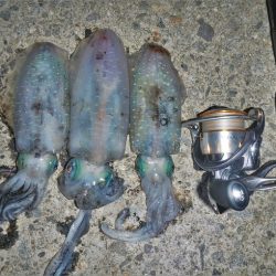 墨ぶっかけられ…