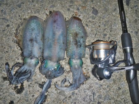 墨ぶっかけられ…