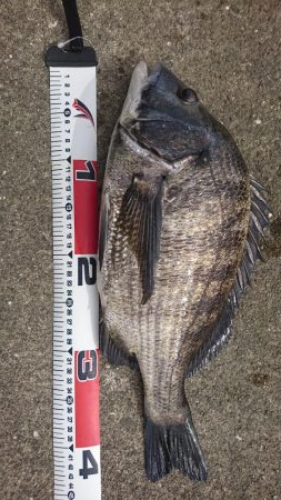 台風の影響でゴミだらけ❗