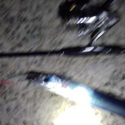 台風が来る前にぶっこみ釣り