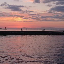 タチウオ釣り、キス釣り