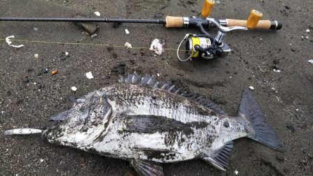 朝練ライトゲーム