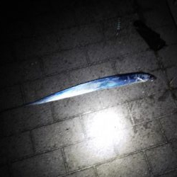 まだまだ小さい