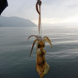 初めての釣り場で!