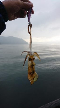 初めての釣り場で!