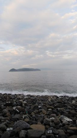 ちびっこ入れ食い