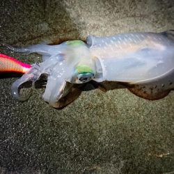 仕事終わり短時間