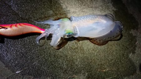 仕事終わり短時間