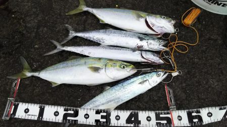 ショアジギング