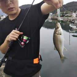 沼島でライトゲーム&ワインド太刀魚