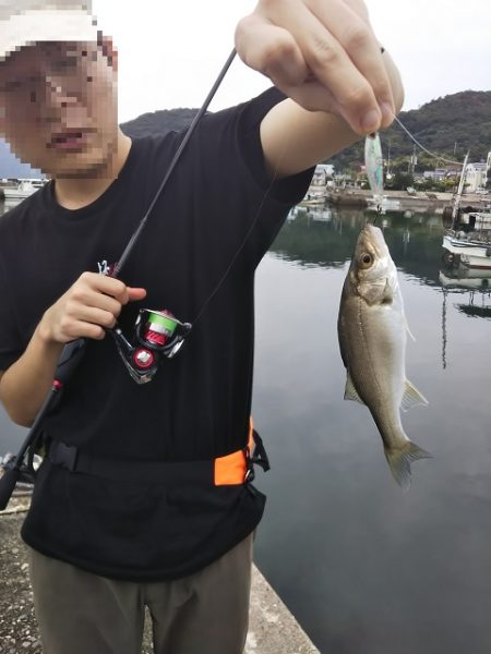 沼島でライトゲーム&ワインド太刀魚