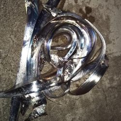 太刀魚ワインド