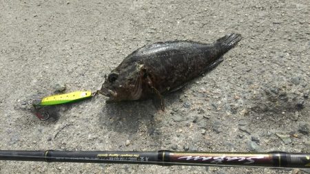 【門司港】五目調査