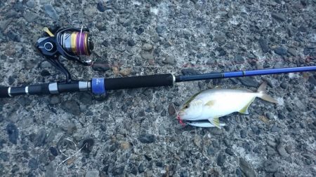 新装備の様子見がてら