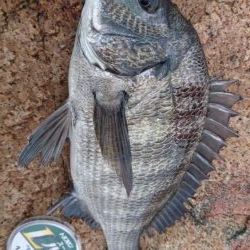 のんびりフカセ