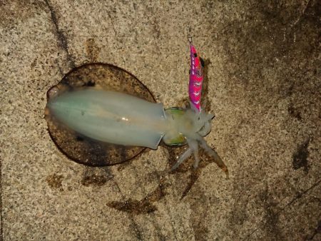 台風の前に‼️…