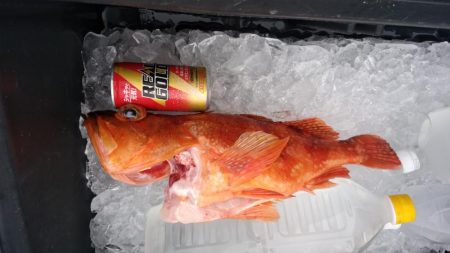 オフショアジギング