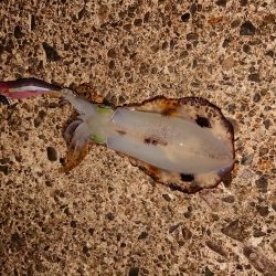 濁りも薄くなり