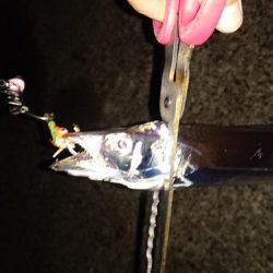 今日は泉大津エリアでタチウオ釣り