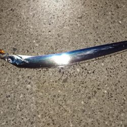 タチウオとハマチと小魚