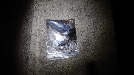 アオリイカ！ハゼ！