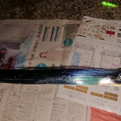 タチウオフィーバー