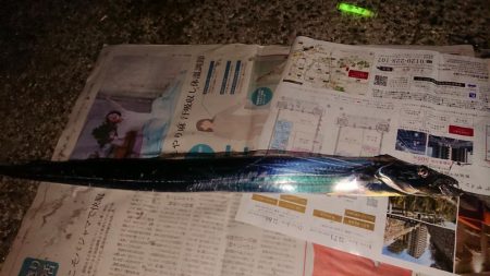 タチウオフィーバー