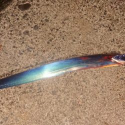 静岡県で初タチ