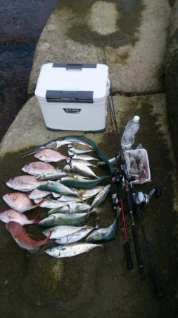 二馬力ボートで釣り三昧