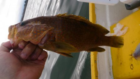 二馬力ボート釣行