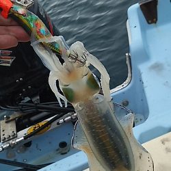 ティップランにて