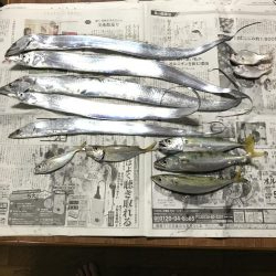 タチウオ^ ^