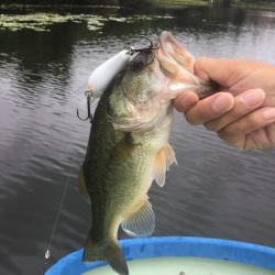 マグナムクランクできた！