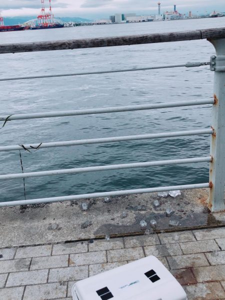 どじょう強し！