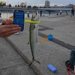 エギングのはずが…