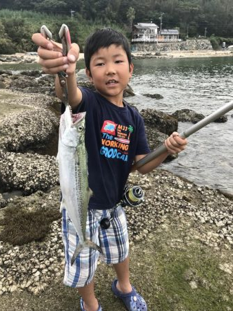 サーフトローリング