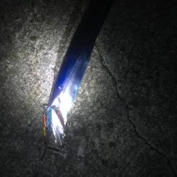 夕方小松島南防で太刀魚