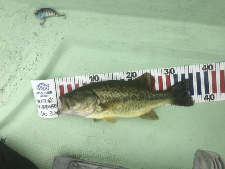 今年最後の鴨池