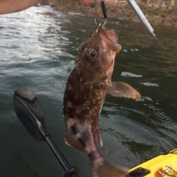 カヤック　出撃！