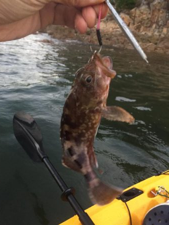 カヤック　出撃！